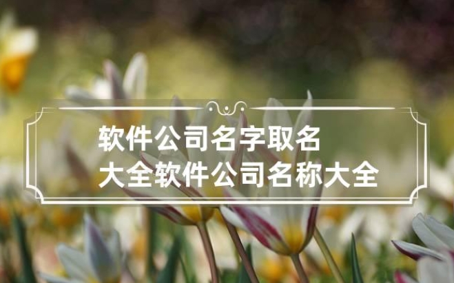 六安软件公司名叫什么好听易记